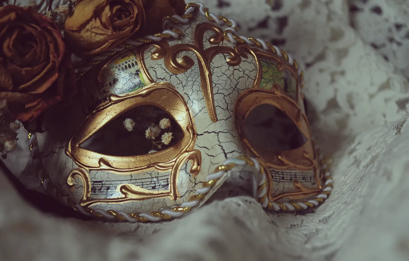 Photo wallpaper flowers, roses, mask, carnival