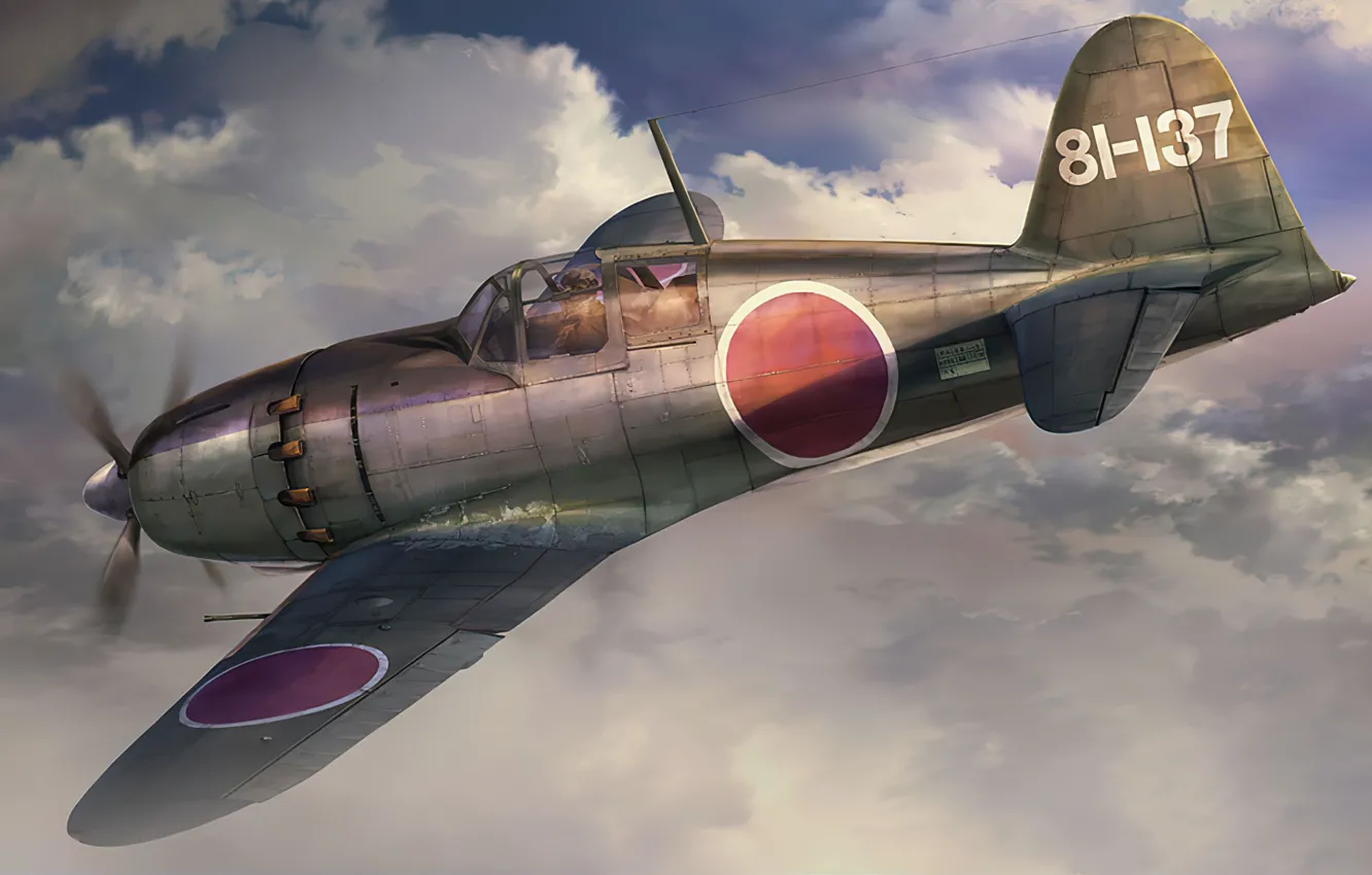 Photo wallpaper Mitsubishi, art, airplane, aviation, Raiden, j2m2