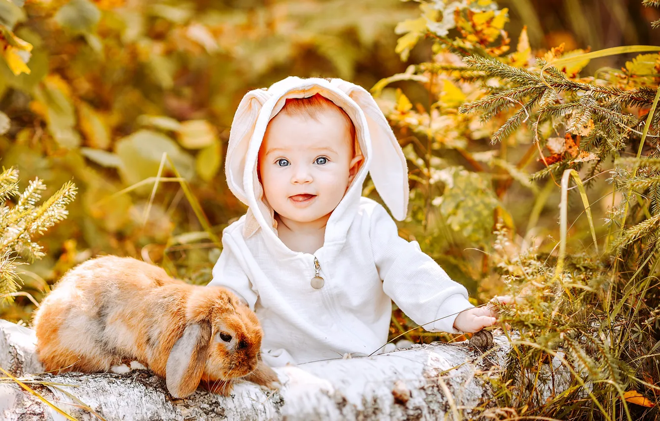 Photo wallpaper autumn, forest, joy, nature, animal, rabbit, baby, trunk