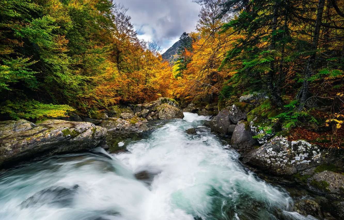 Photo wallpaper autumn, forest, trees, river, Spain, Spain, Aragon, Aragon