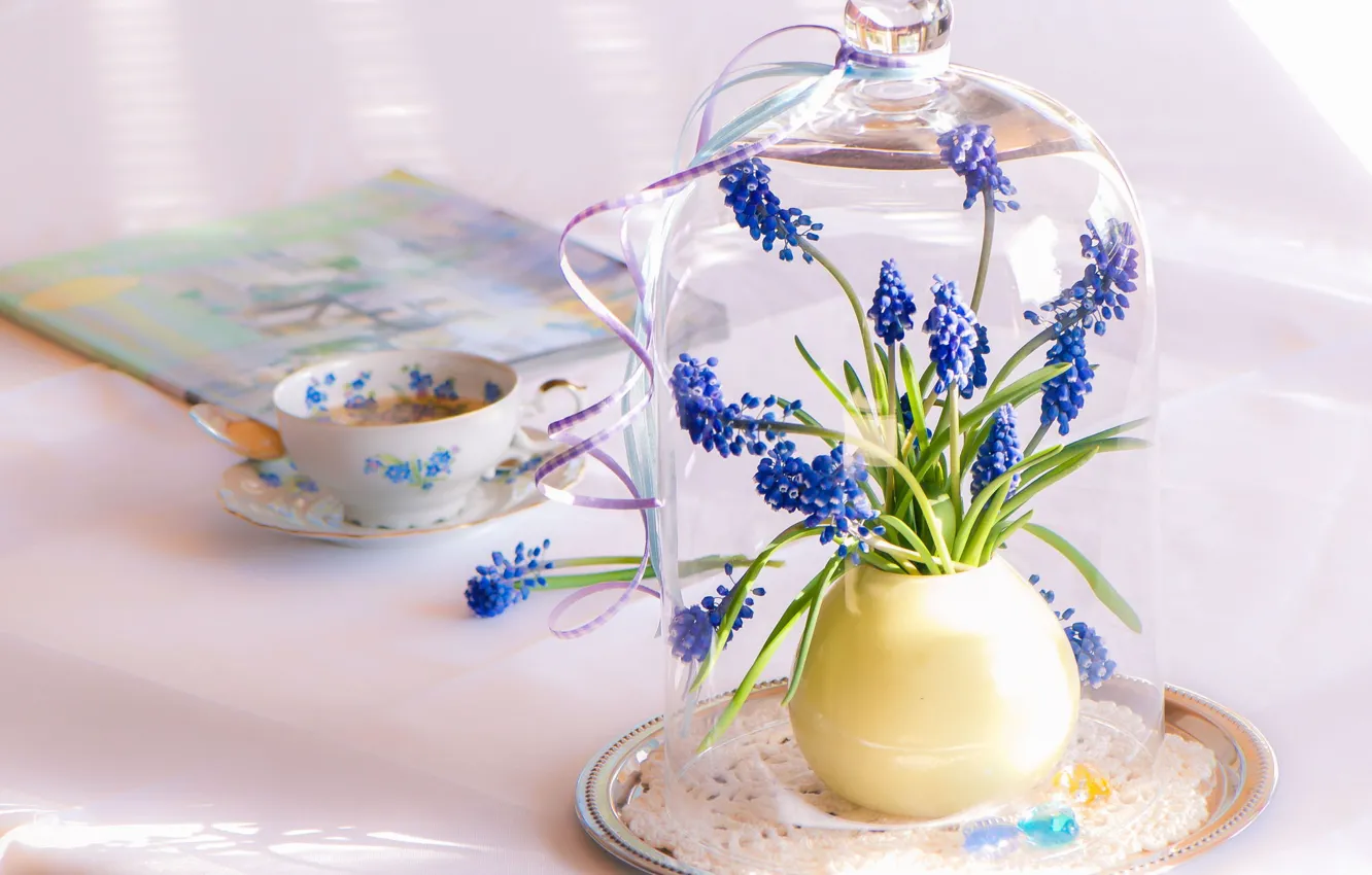 Photo wallpaper flowers, table, Cup, blue, servirovka