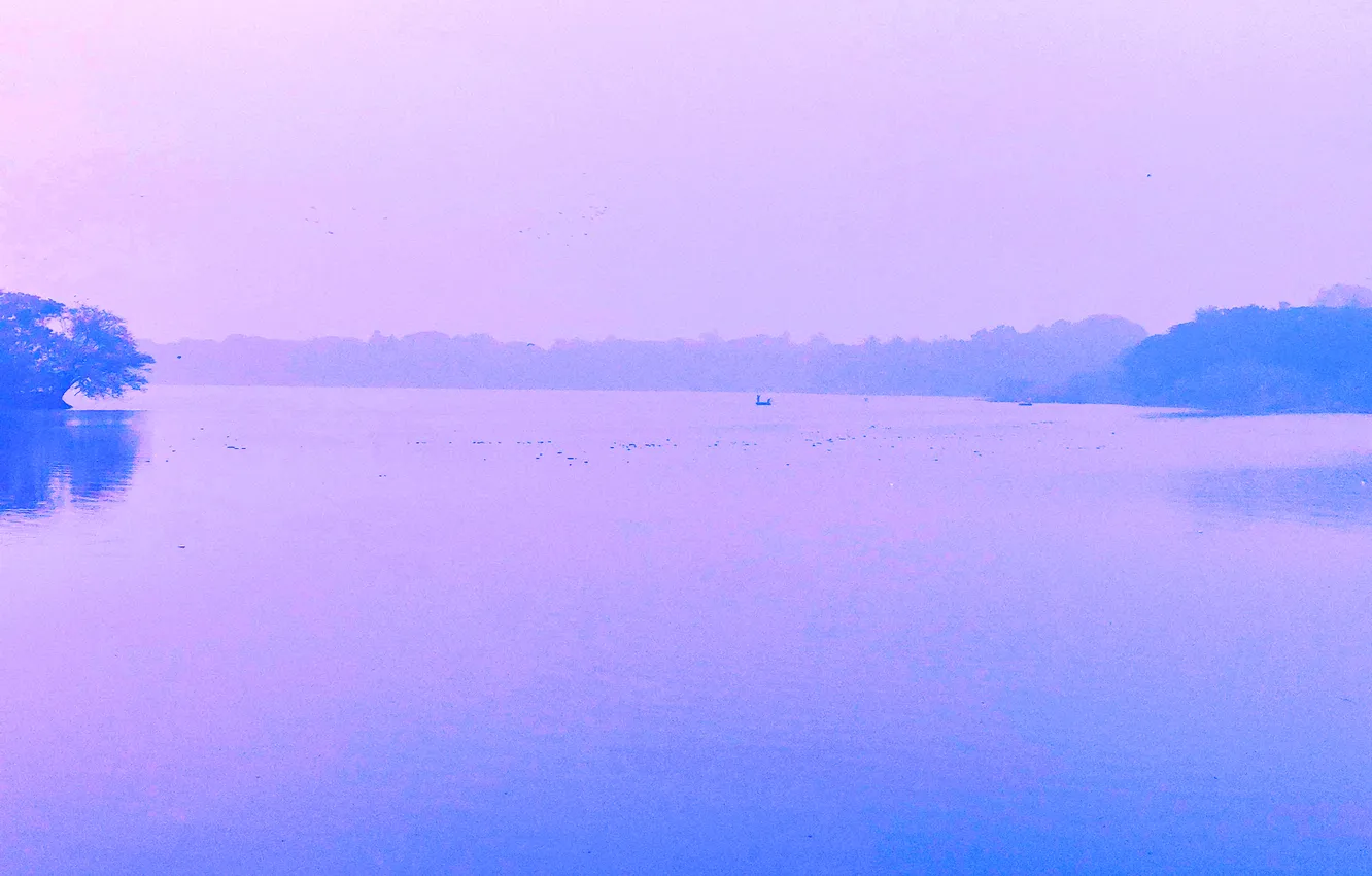 Photo wallpaper misty, sky, trees, water, winter, clouds, lake, morning