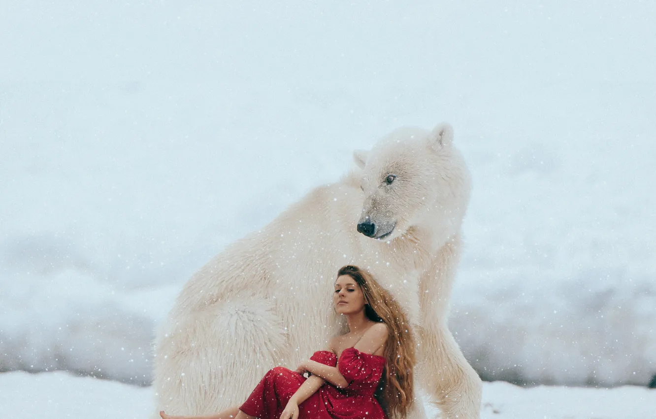 Photo wallpaper winter, girl, snow, mood, the situation, bear, polar bear, red dress