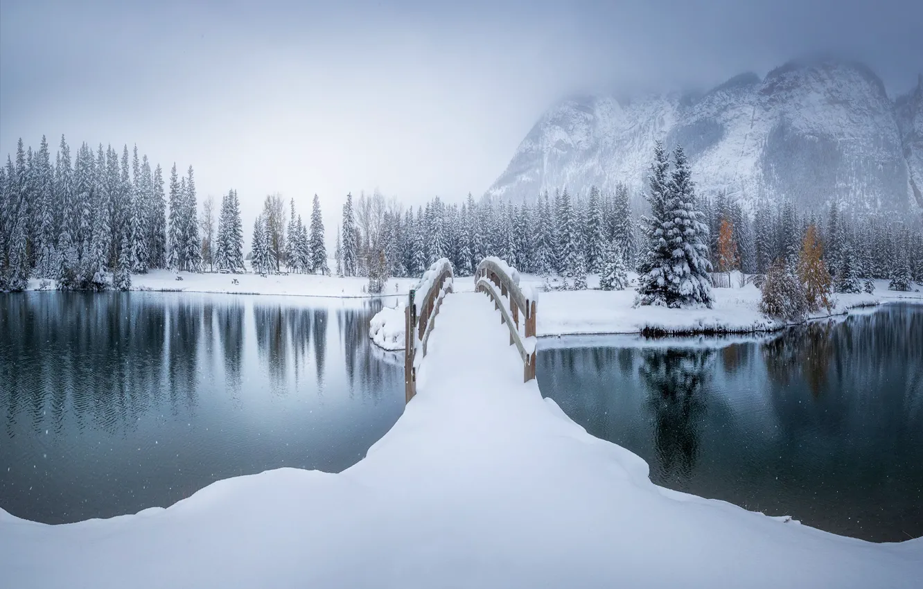 Photo wallpaper winter, snow, trees, mountains, bridge, river, ate, Canada