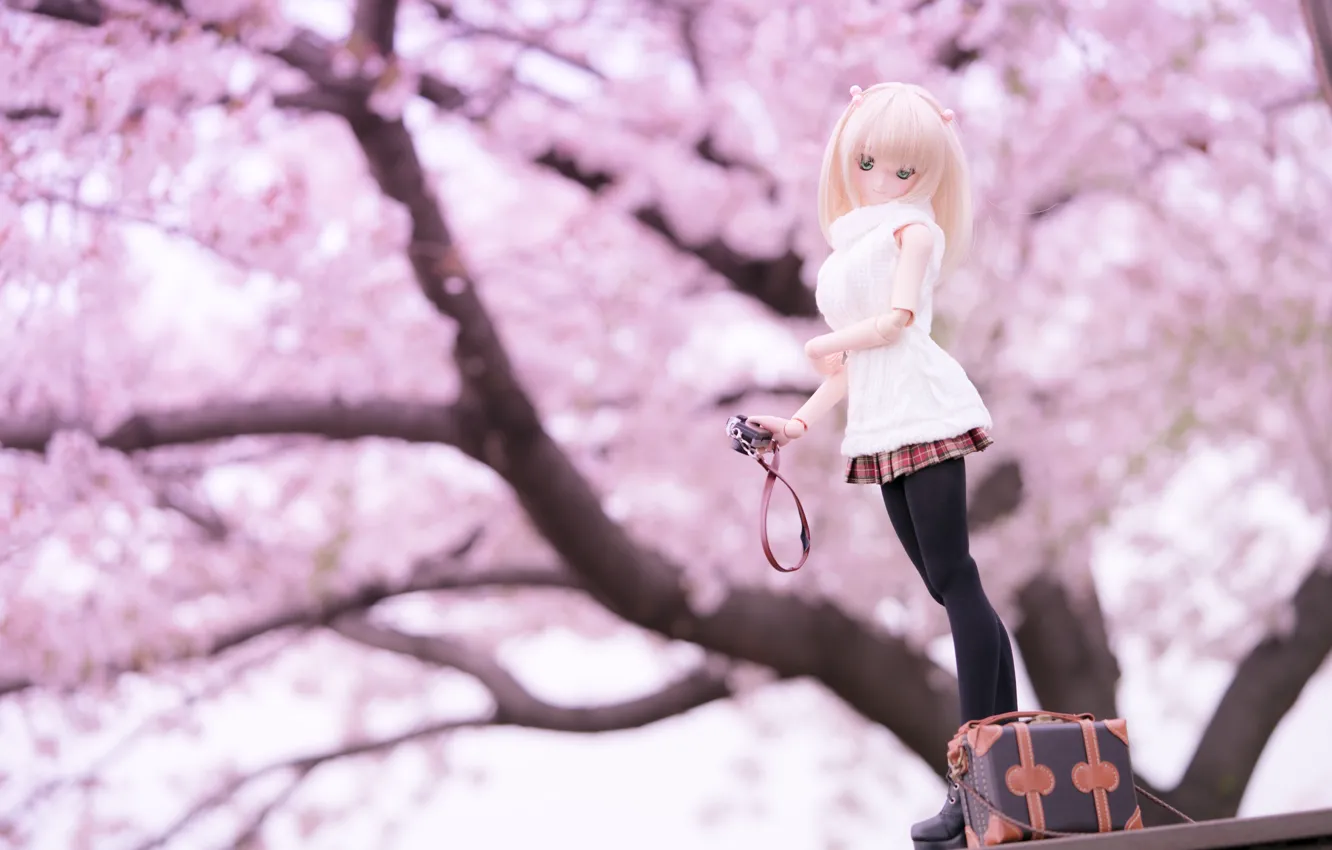 Photo wallpaper spring, doll, Sakura, the camera, suitcase