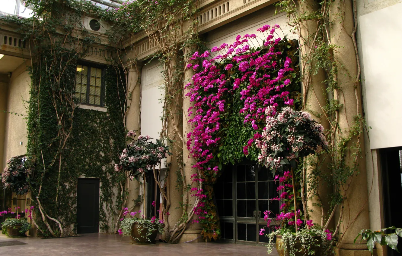 Photo wallpaper flowers, garden, arch, flowers, garden