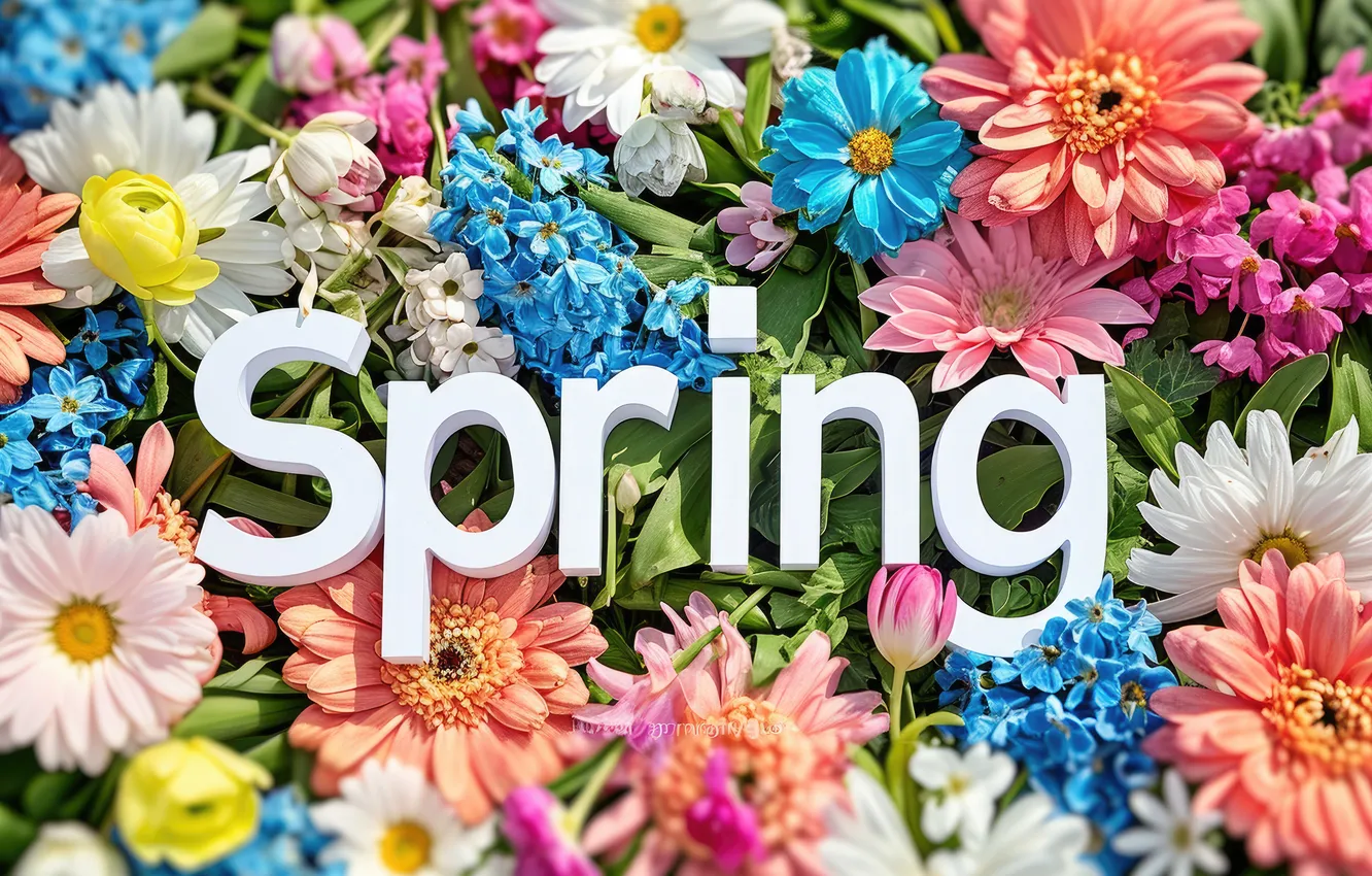 Photo wallpaper flowers, spring, colorful, flowers, spring