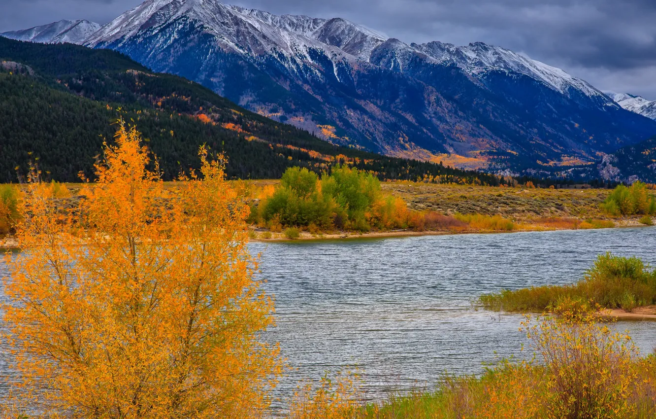 Photo wallpaper autumn, trees, mountains, river, Colorado, USA, Aspen