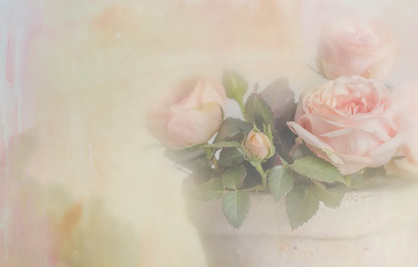 Photo wallpaper leaves, flowers, background, roses, bouquet, light, art, haze