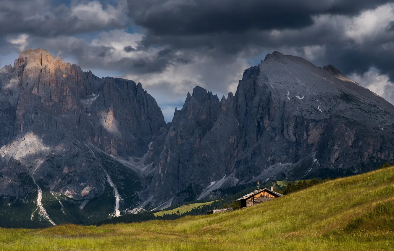 Photo wallpaper field, forest, summer, the sky, grass, clouds, mountains, clouds