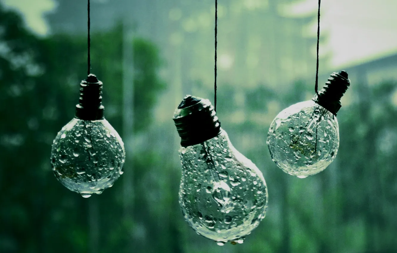 Photo wallpaper drops, macro, photo, background, rain, Wallpaper, rope, light bulb
