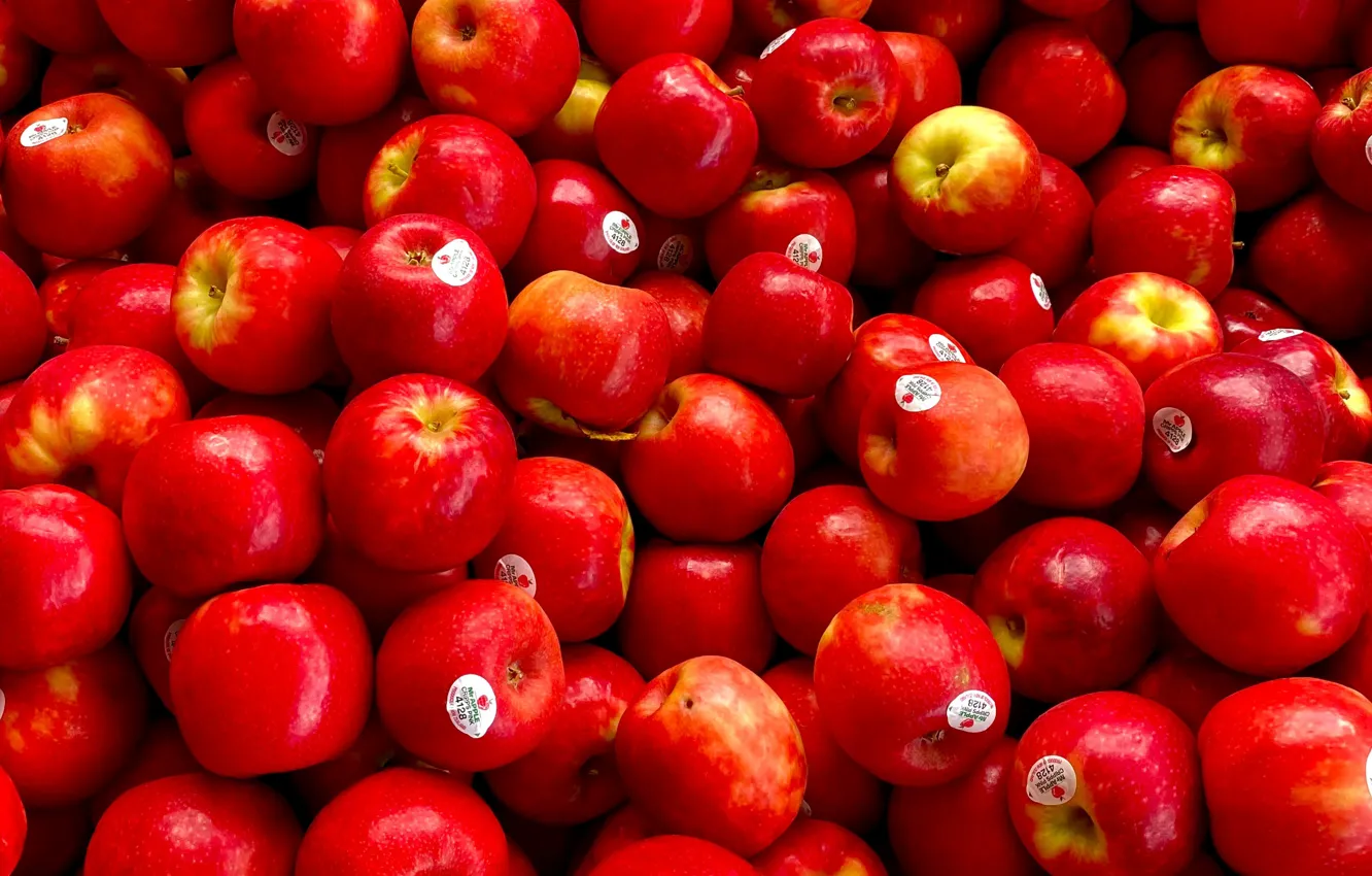 Photo wallpaper apples, red, a lot