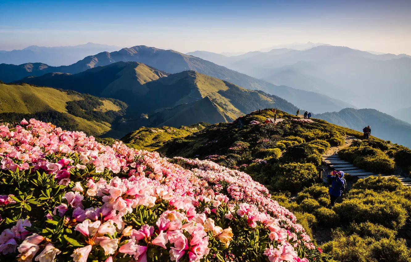 Photo wallpaper greens, landscape, flowers, mountains, nature, fog, people, hills