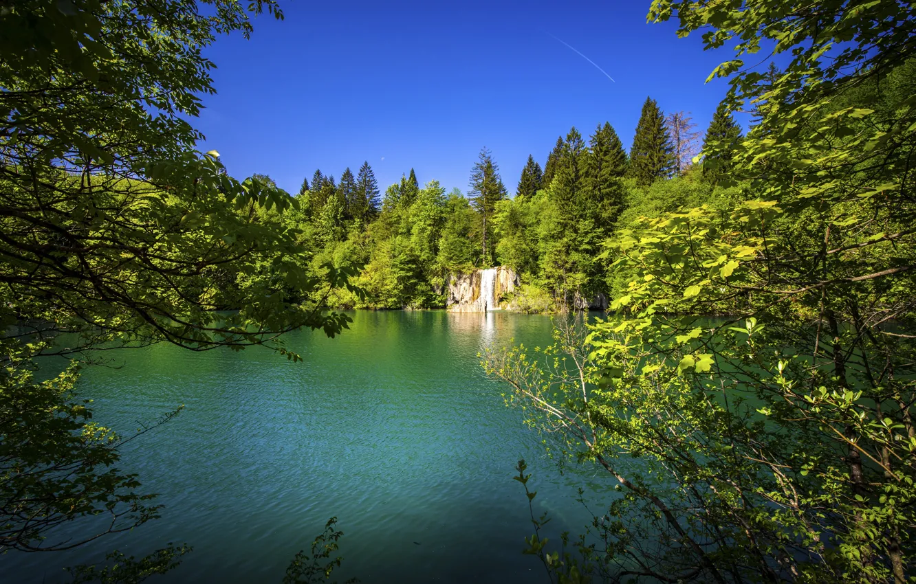 Photo wallpaper forest, trees, waterfall, Croatia, Croatia, Plitvice lakes, Plitvice Lakes National Park, National Park Plitvice lakes