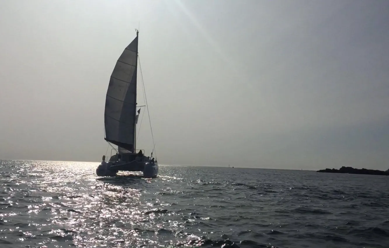 Photo wallpaper sail, the reflection, fog, catamaran, coast, sea, the sun