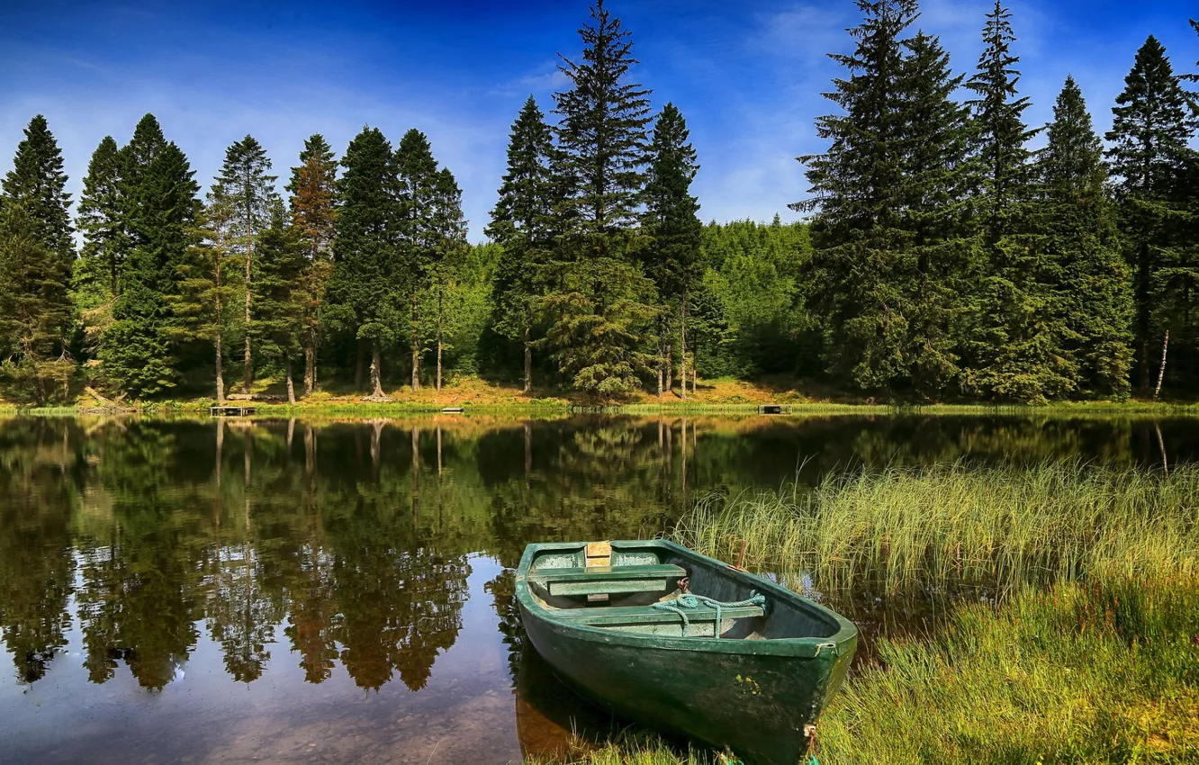 Photo wallpaper forest, the sky, grass, clouds, trees, landscape, nature, river