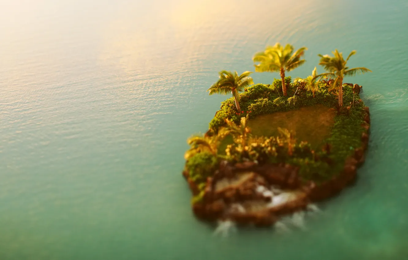 Photo wallpaper water, palm trees, island, landscape, tilt-shift