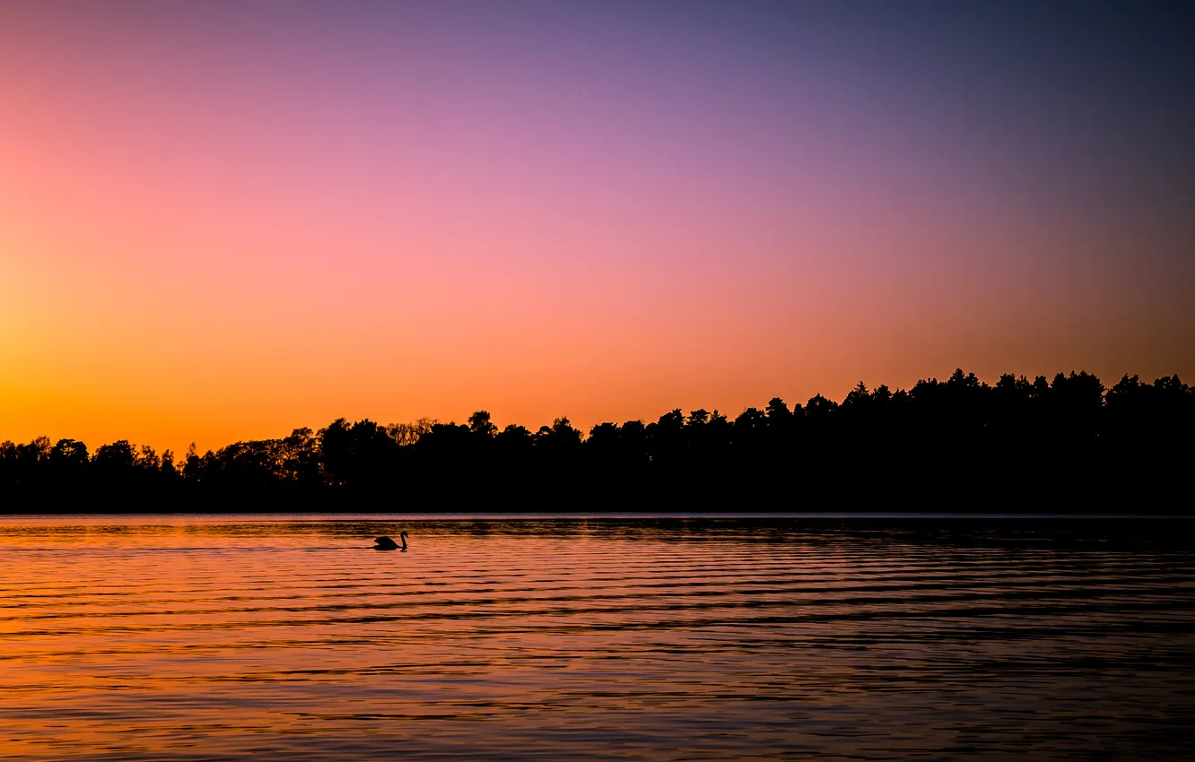 Photo wallpaper sunset, lake, Swan, Finland, Helsinki, Follow the island