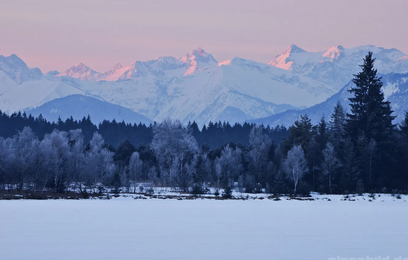 Photo wallpaper winter, trees, landscape, mountains