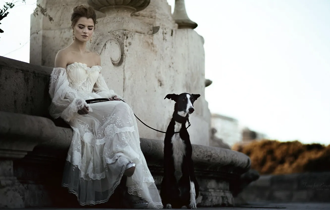 Photo wallpaper the city, dog, lady