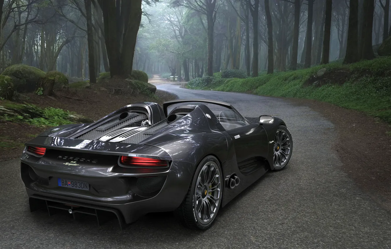 Photo wallpaper road, forest, Porsche, car