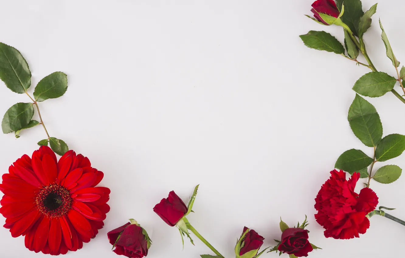 Photo wallpaper leaves, flowers, roses, gerbera, buds, clove