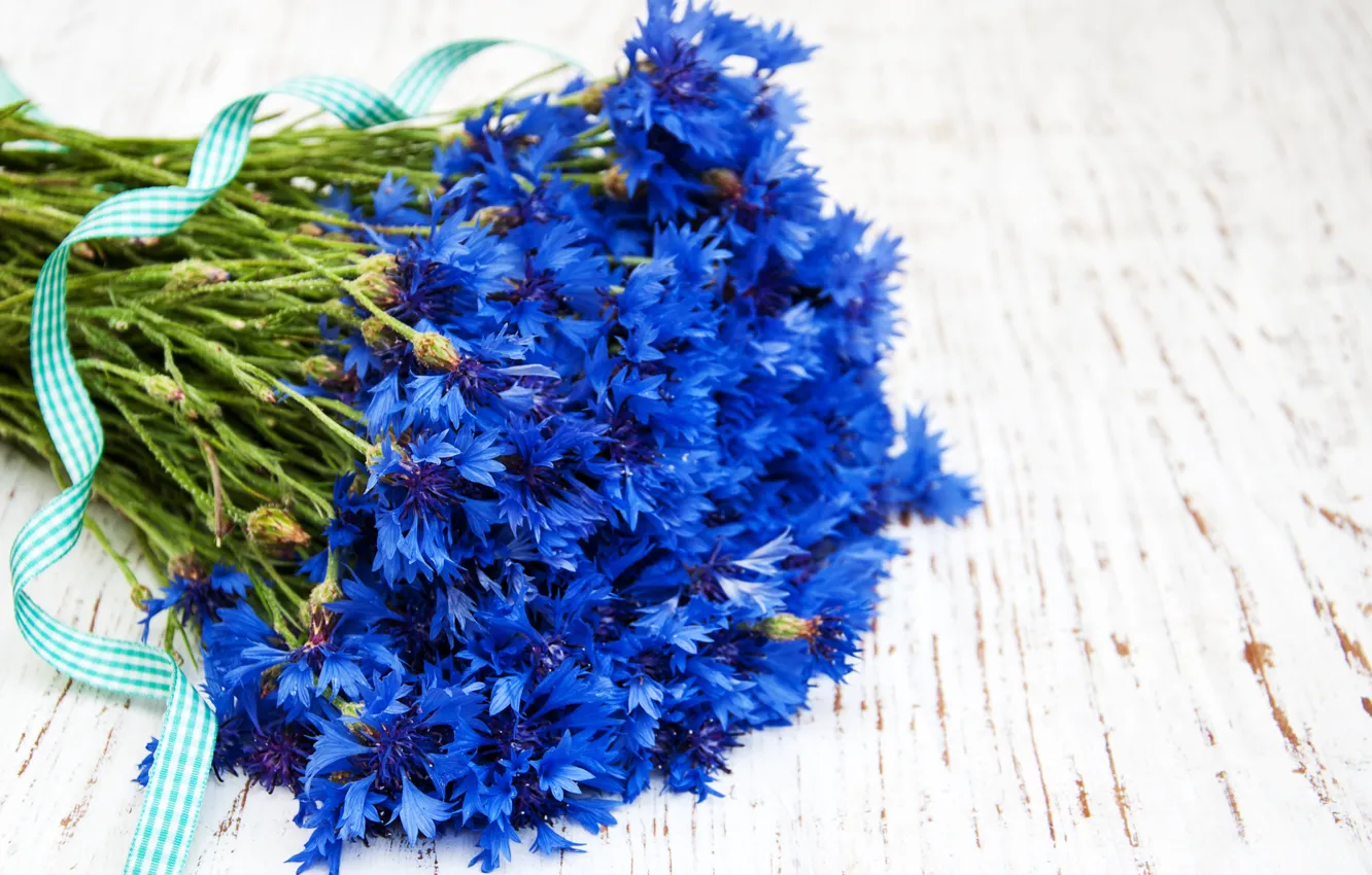 Photo wallpaper flowers, bouquet, tape, blue, cornflowers, Olena Rudo