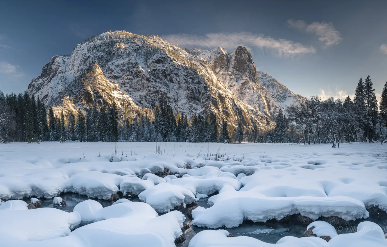 Photo wallpaper winter, forest, snow, mountains, CA, California, Yosemite national Park, Yosemite National Park