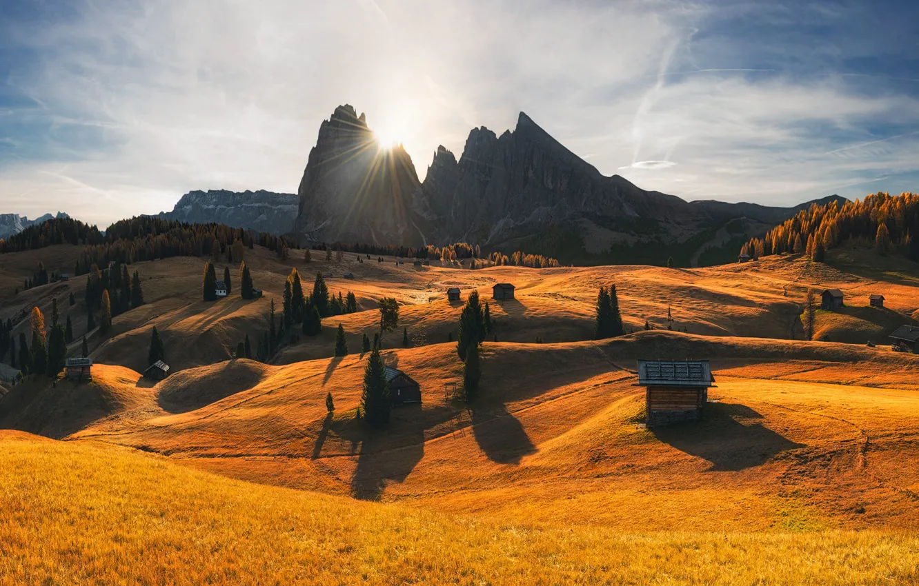 Photo wallpaper field, autumn, forest, the sky, the sun, rays, light, mountains