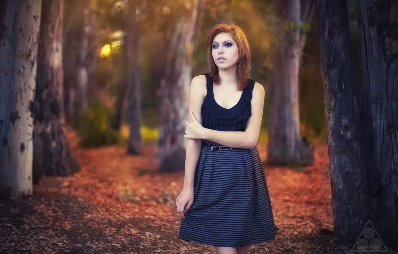 Photo wallpaper forest, girl, portrait