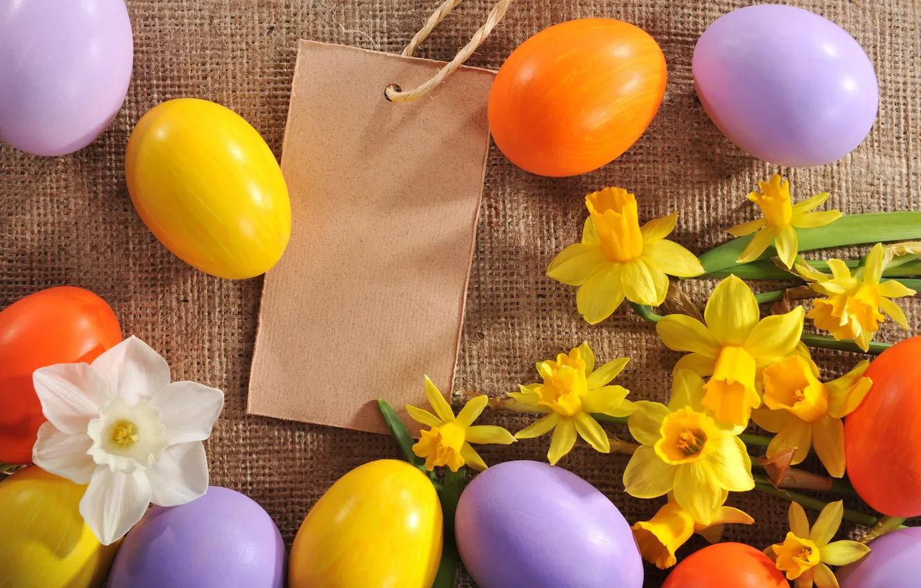 Photo wallpaper flowers, eggs, Easter, flowers, daffodils, spring, Easter, eggs