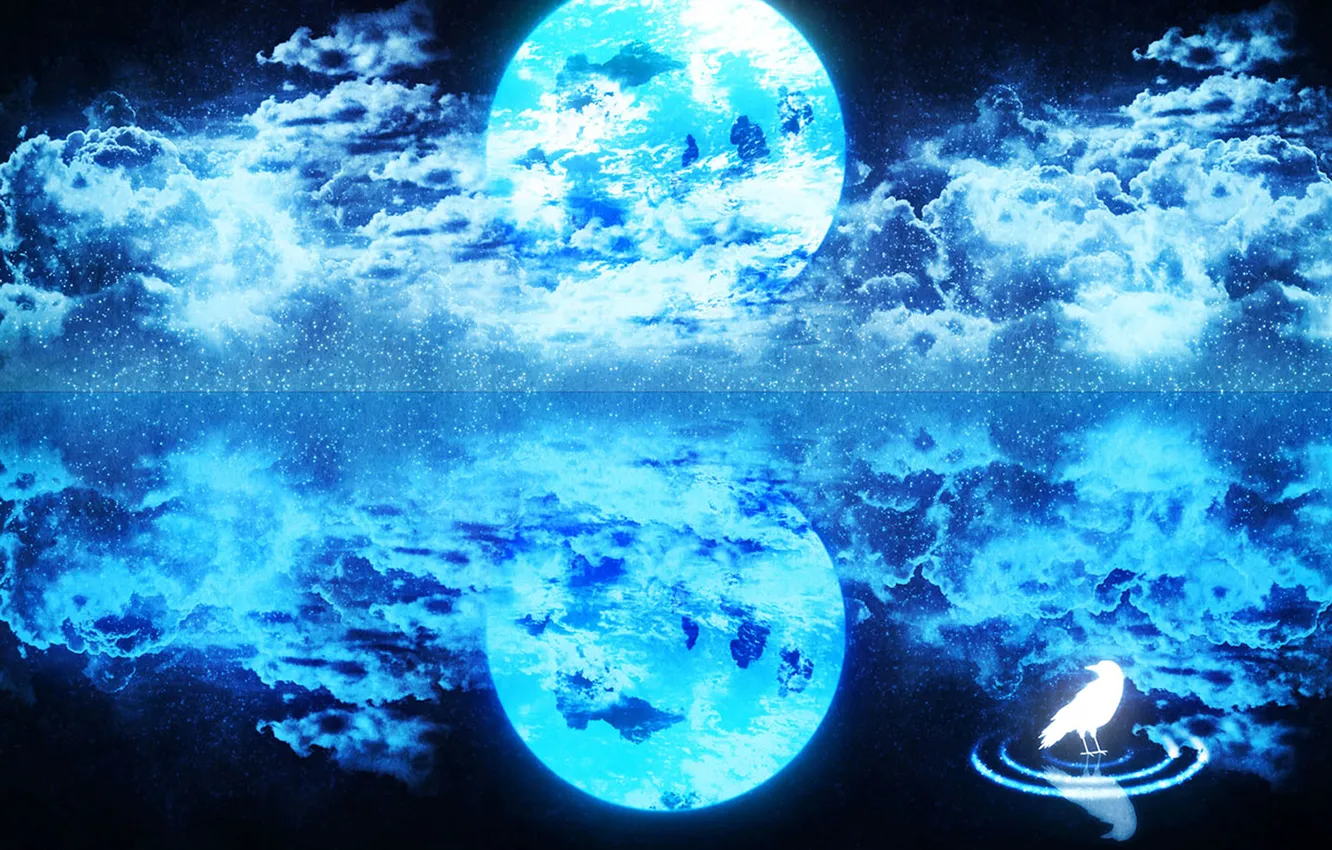 Photo wallpaper water, clouds, bird, planet