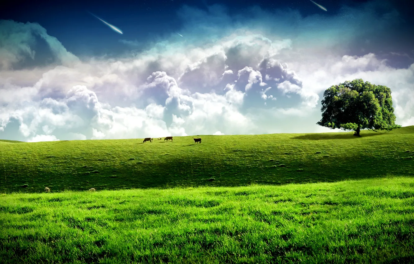 Photo wallpaper field, clouds, trees, cows