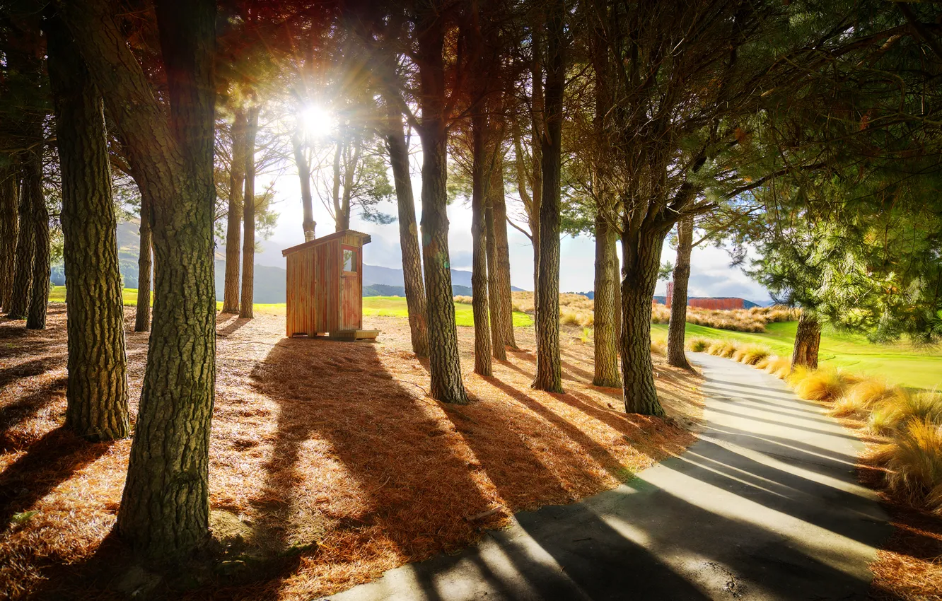 Photo wallpaper the sun, rays, trees, mountains, nature, track, wooden house