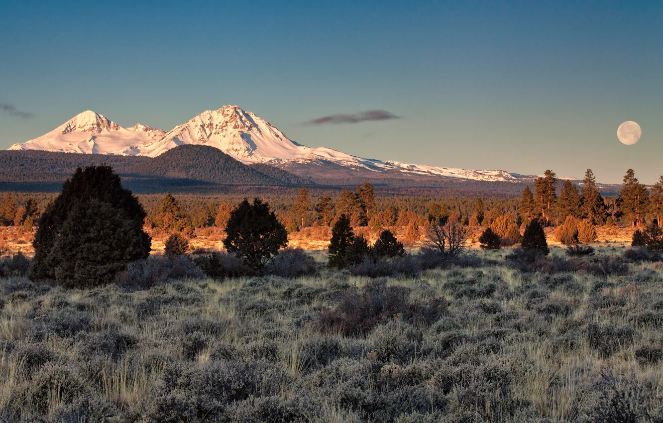 Photo wallpaper field, the sky, mountains, the moon, desert, shrub