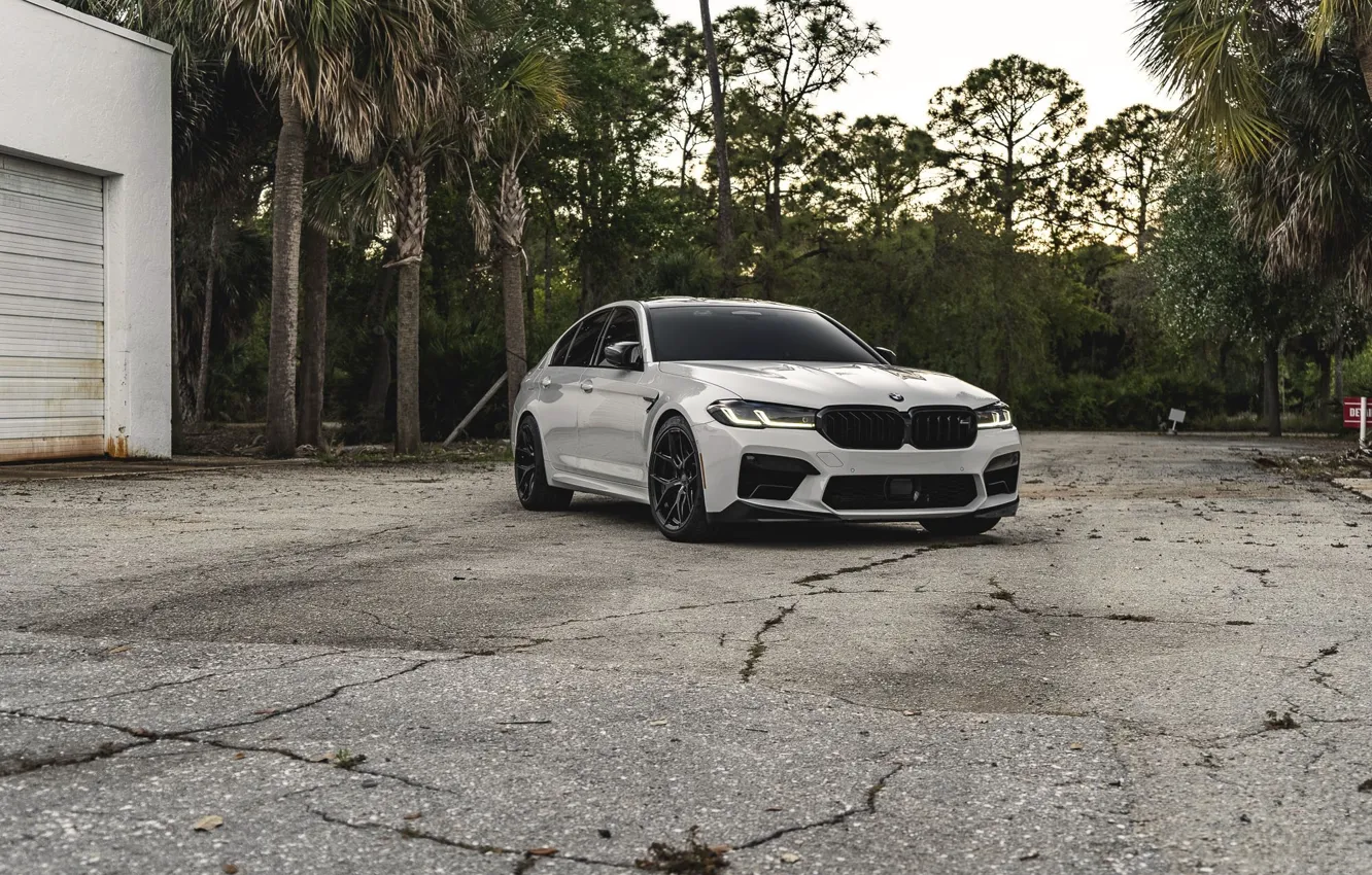 Photo wallpaper trees, F90, M5 Competition