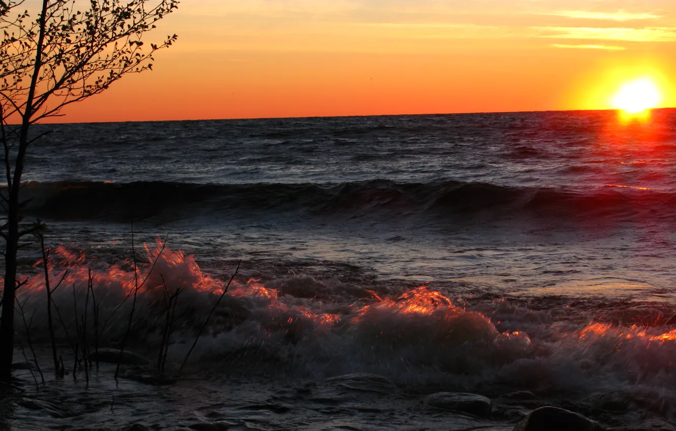 Photo wallpaper sea, wave, the sky, the sun, sunset, squirt, stones, tree