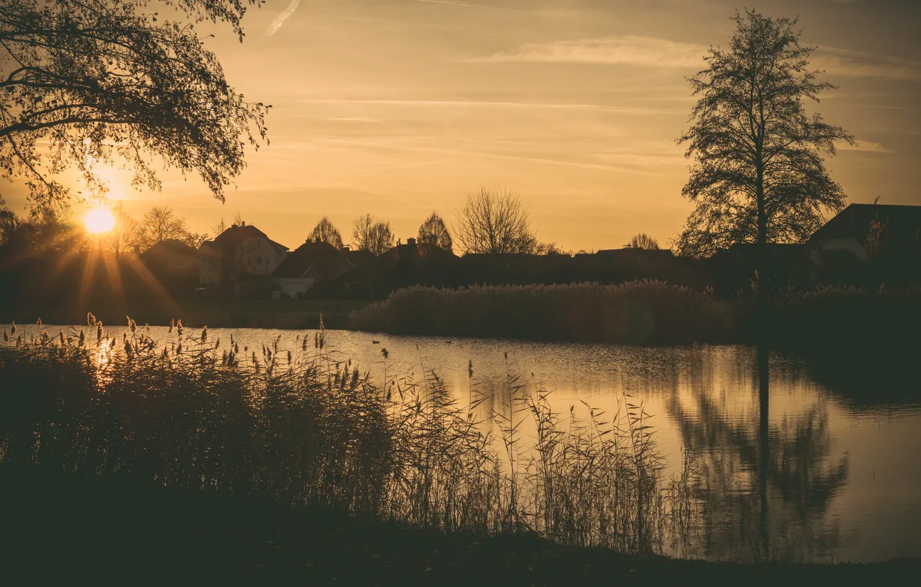 Photo wallpaper grass, twilight, river, sunset, houses, dusk, branches, bush