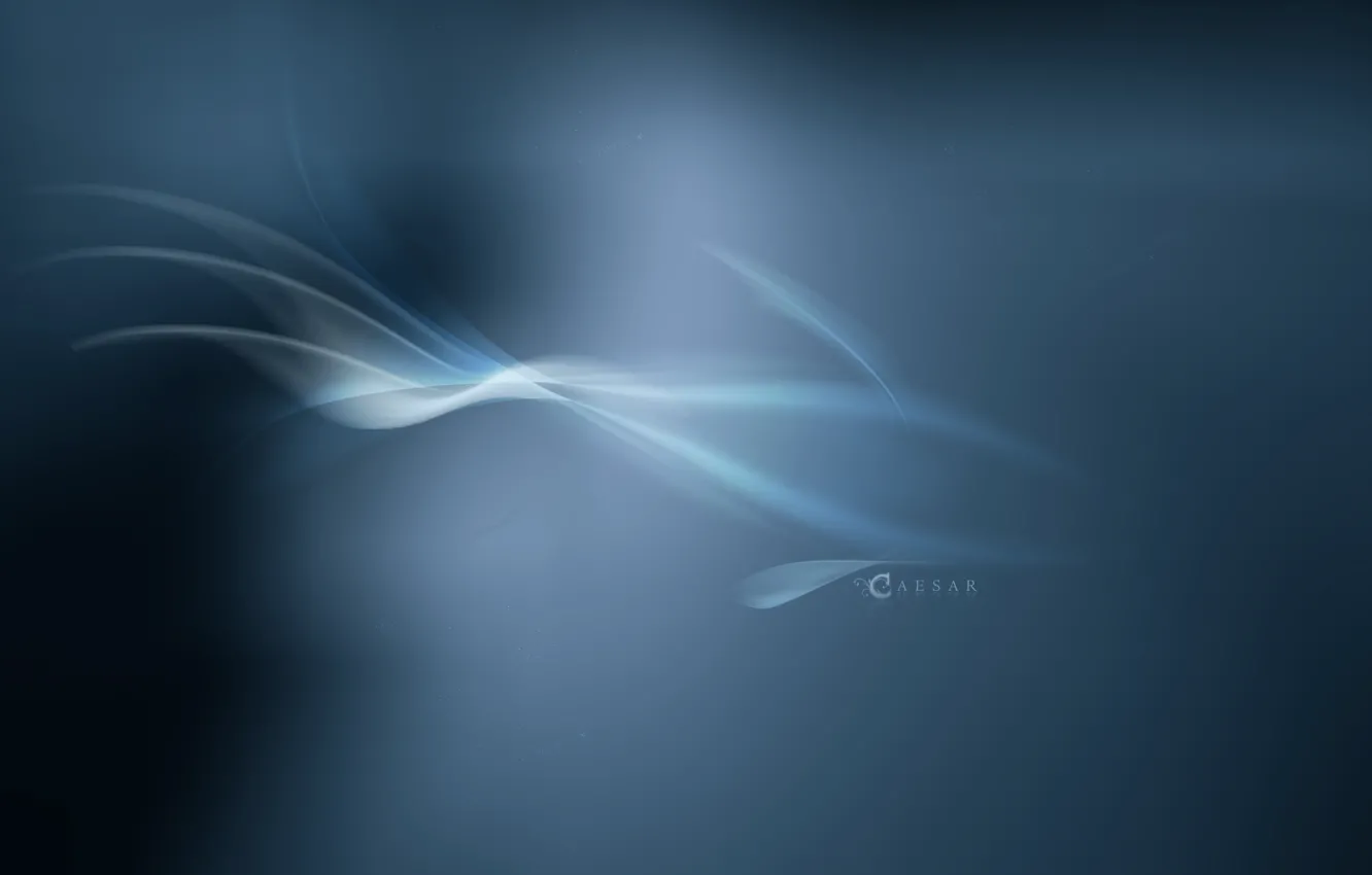 Photo wallpaper fish, ceasar