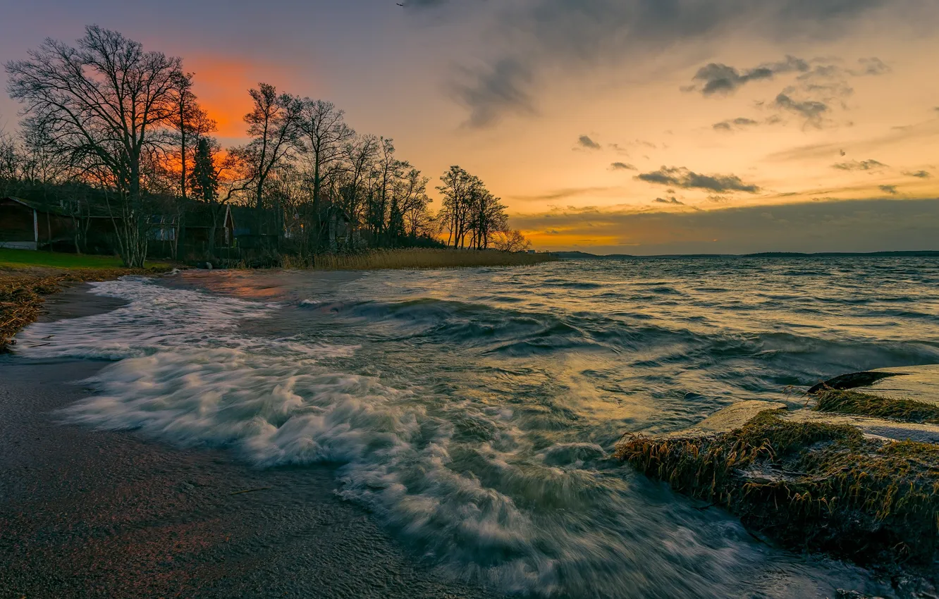 Photo wallpaper sea, wave, trees, sunset, coast, home, the evening, surf
