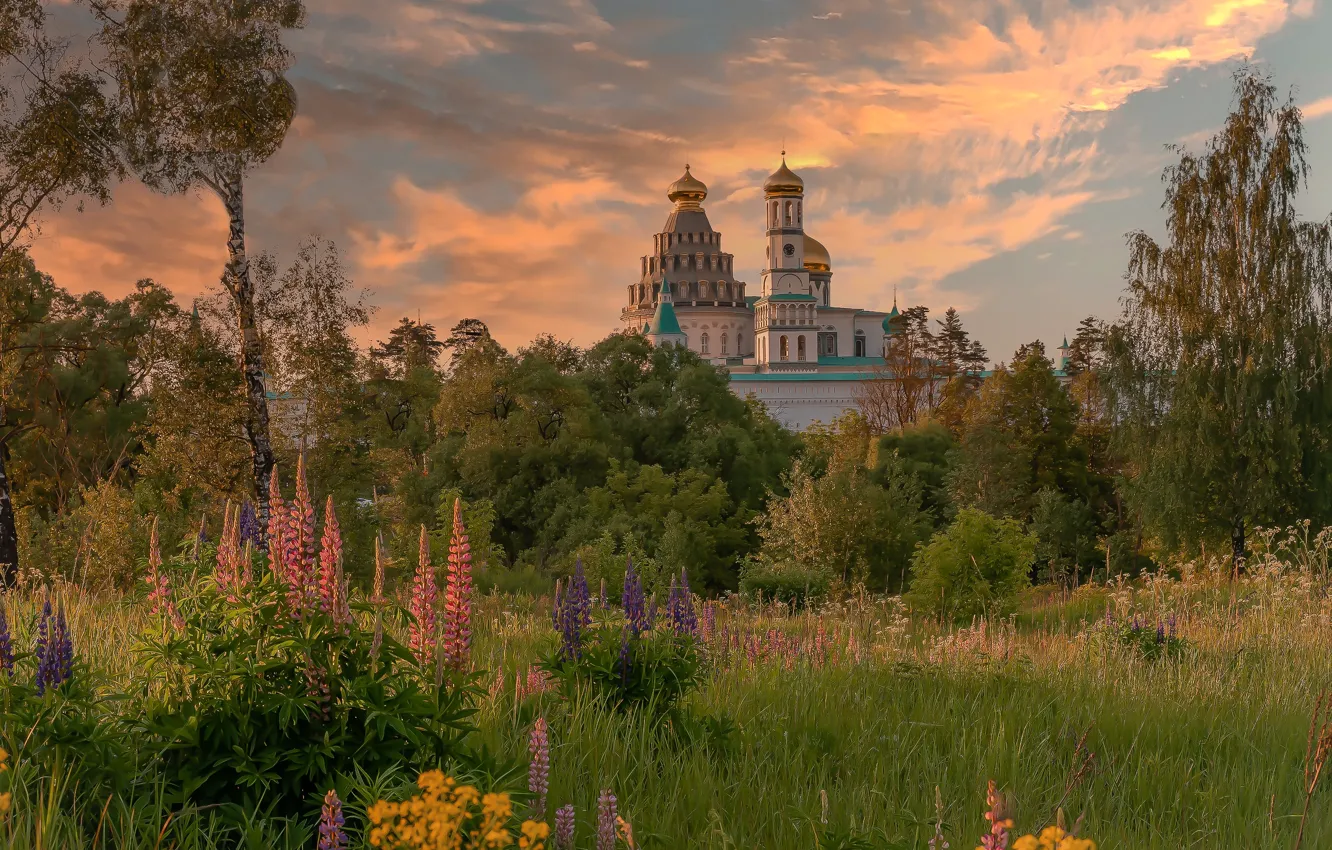 Photo wallpaper summer, Church, lupins