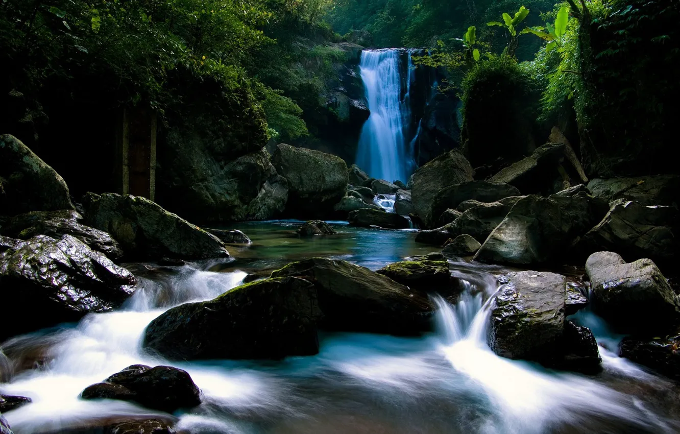 Photo wallpaper stones, waterfall, jungle