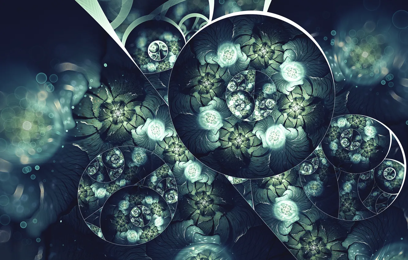 Photo wallpaper line, circles, flowers, abstraction, graphics, figure, sphere, bokeh