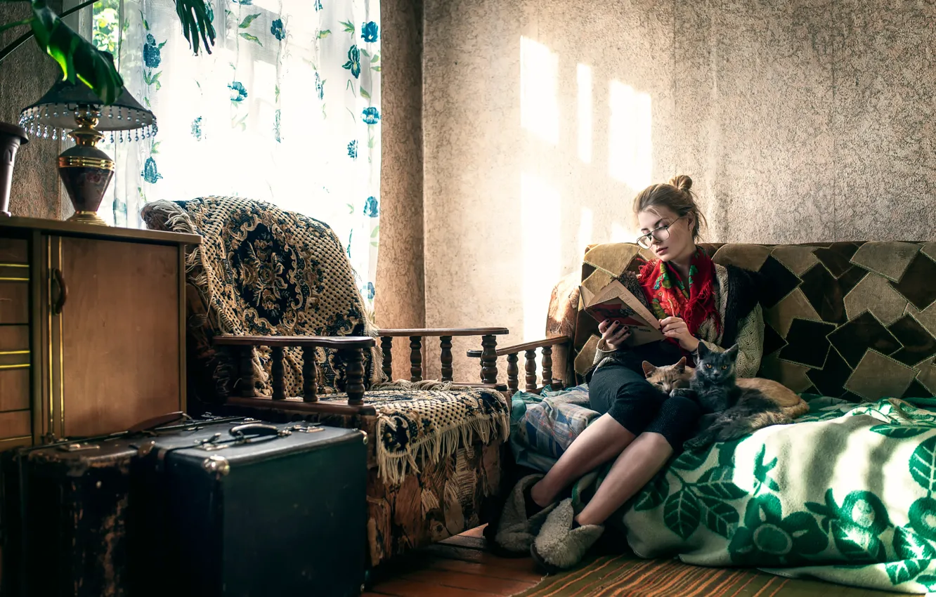 Photo wallpaper girl, cats, sofa, furniture, old house, Maxim Guselnikov, Irina Popova, Cat Lady