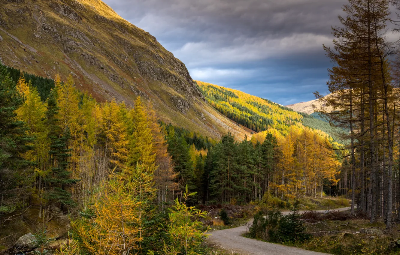 Photo wallpaper road, autumn, forest, trees, mountains, rocks, Scotland, Cairngorms National Park