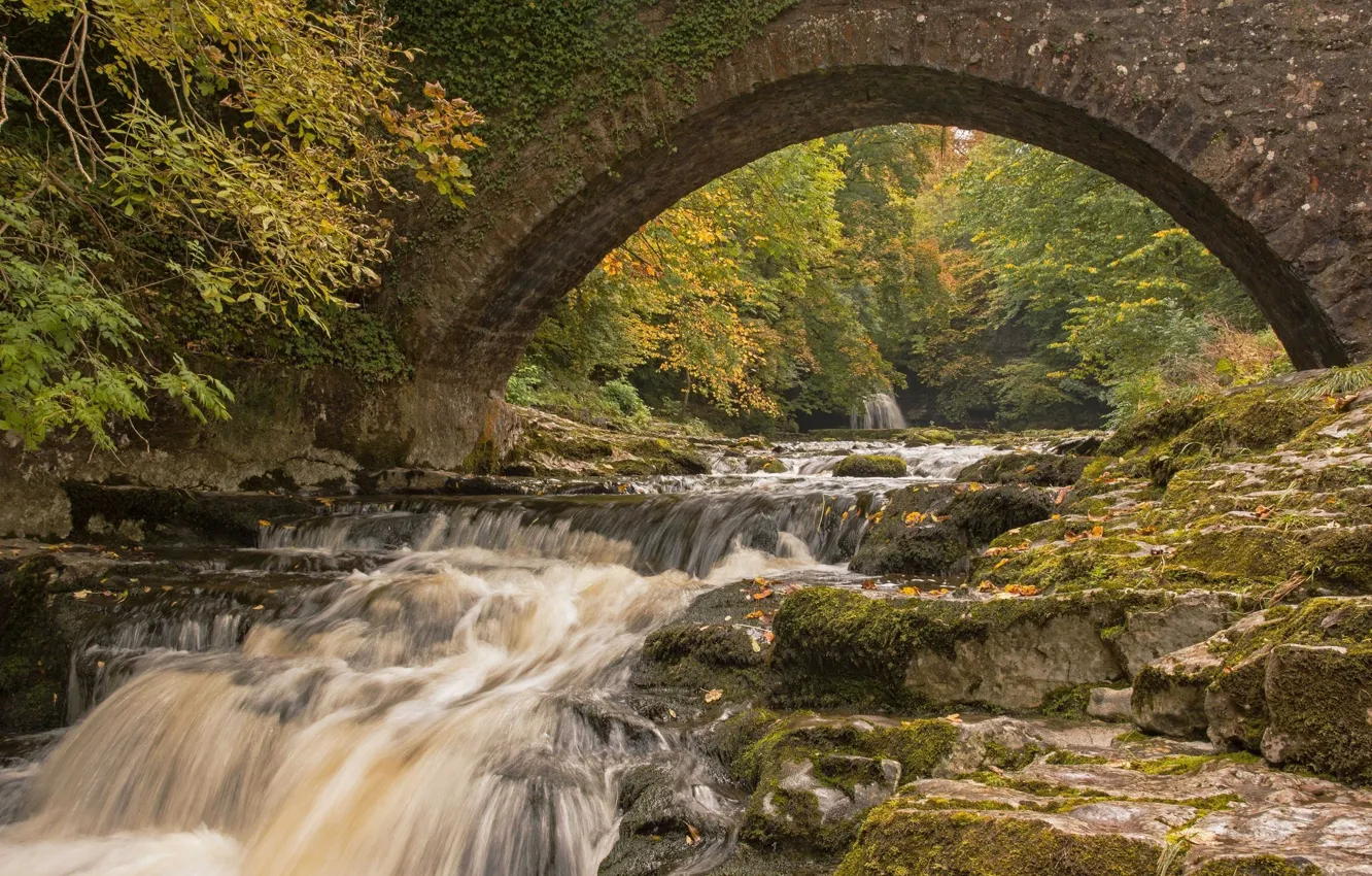 Photo wallpaper autumn, bridge, river, arch
