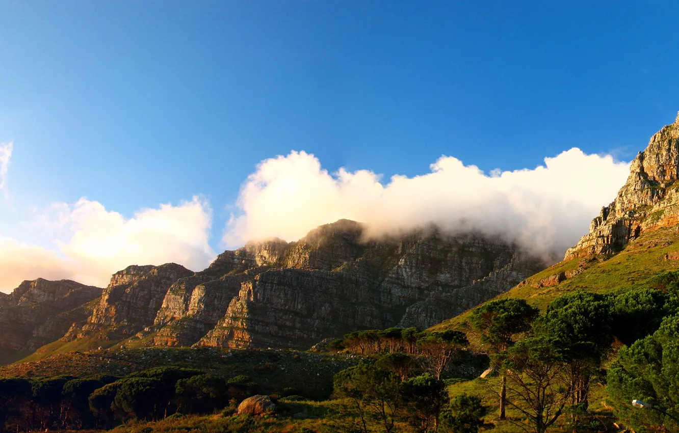 Photo wallpaper forest, mountains, wide