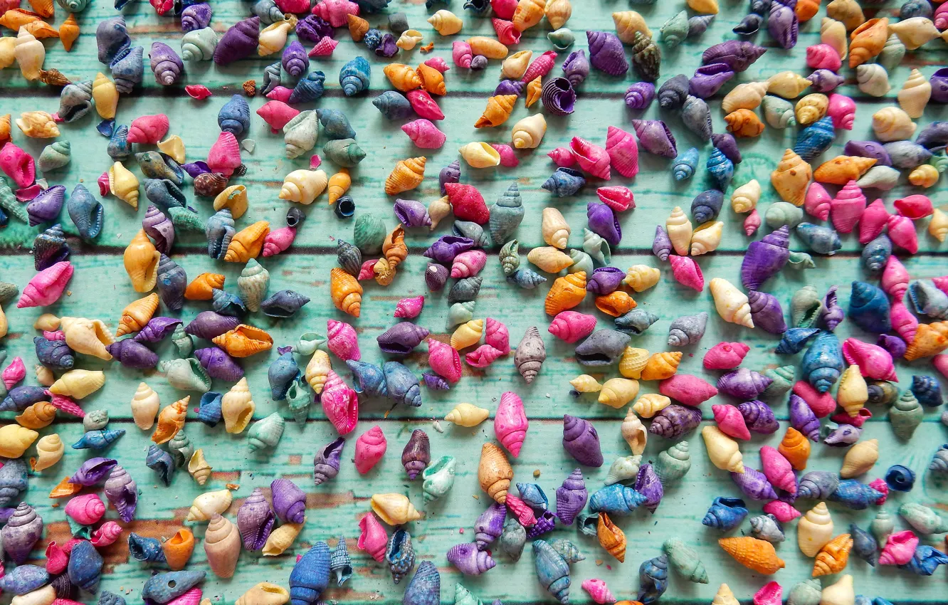 Photo wallpaper shell, widescreen, background, фон background, the envelope, the Wallpapers, decor, full screen