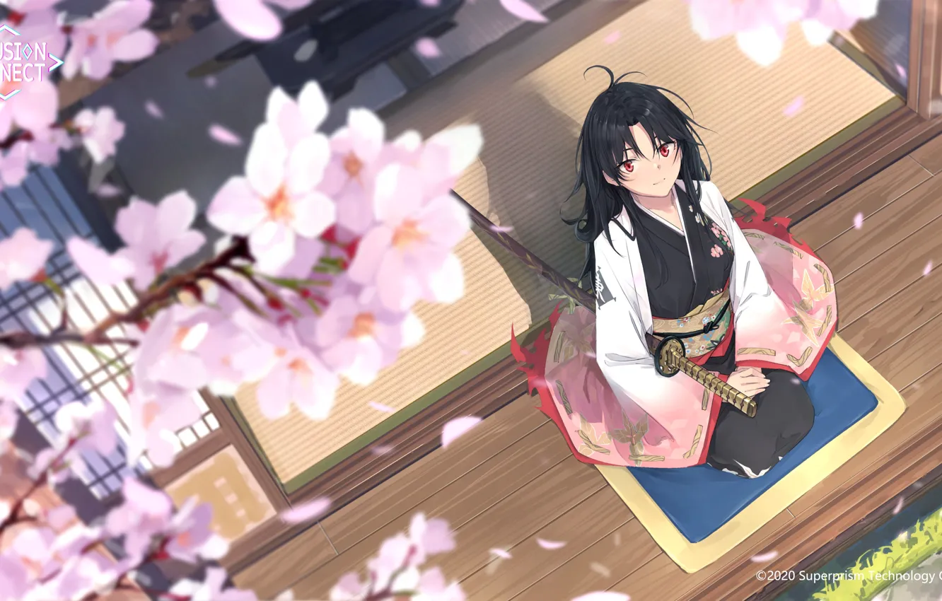 Photo wallpaper katana, Japanese clothing, Sunny day, veranda, looking up, cherry blossoms, tatami, sitting on my lap
