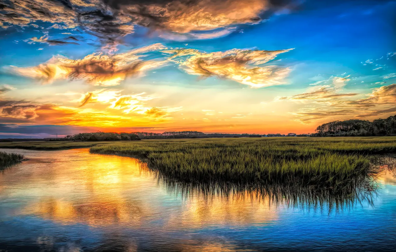 Photo wallpaper blue, shore, treatment, pond